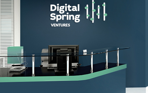 Digital Spring Ventures. Разработка дизайн-стратегии бренда компании
