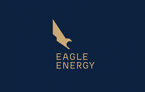 Eagle Energy: Фирменный стиль трейдинговой компании. Разработка фирменного стиля